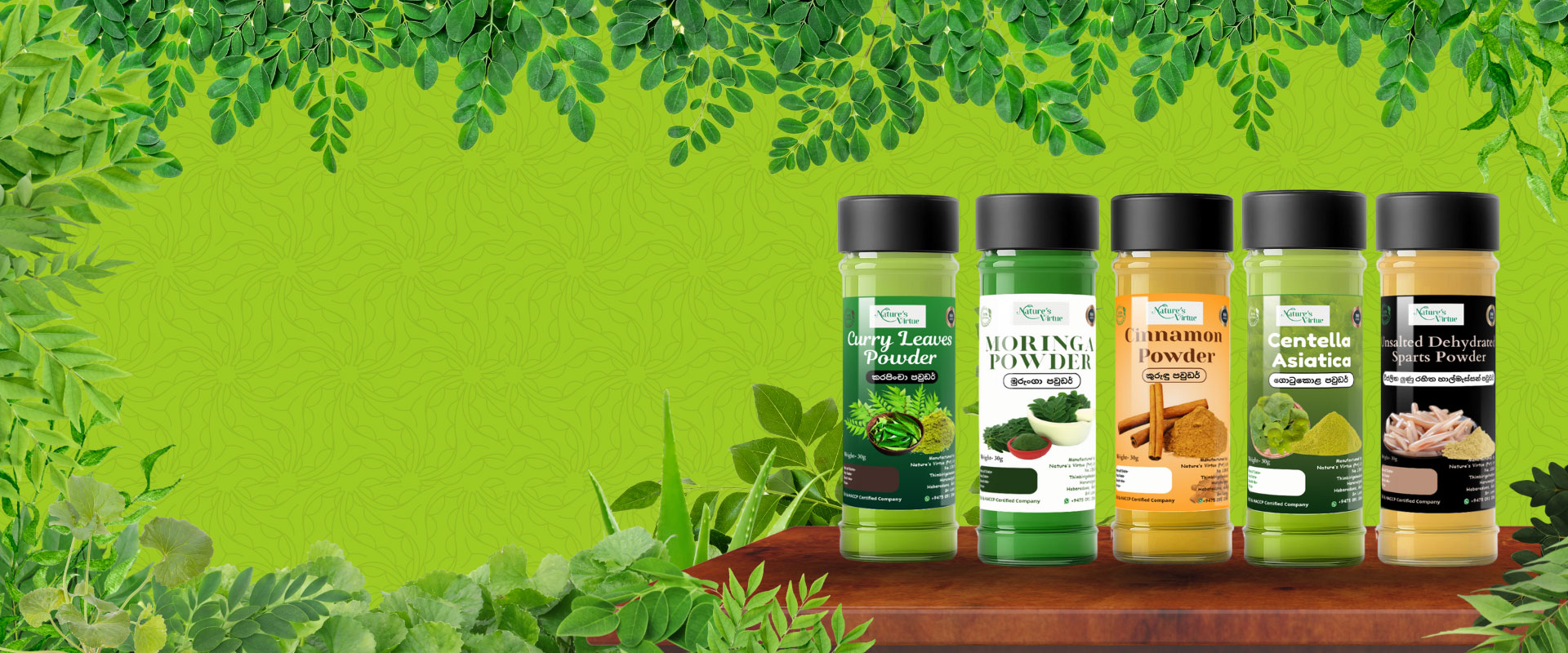 Elevate Your Wellness with Herbal Infusions